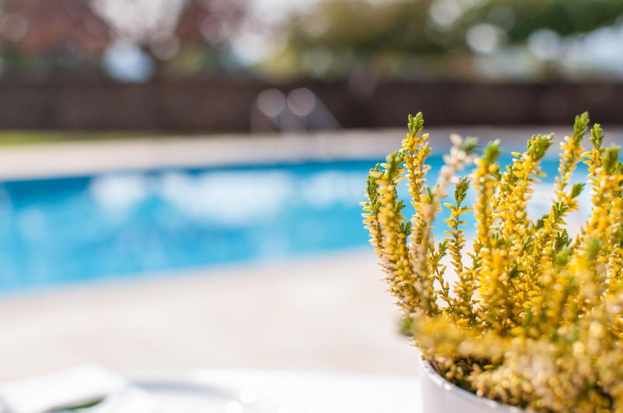 Private Pool Villa Nefeli Corfu Dassia (Corfu) Exterior photo